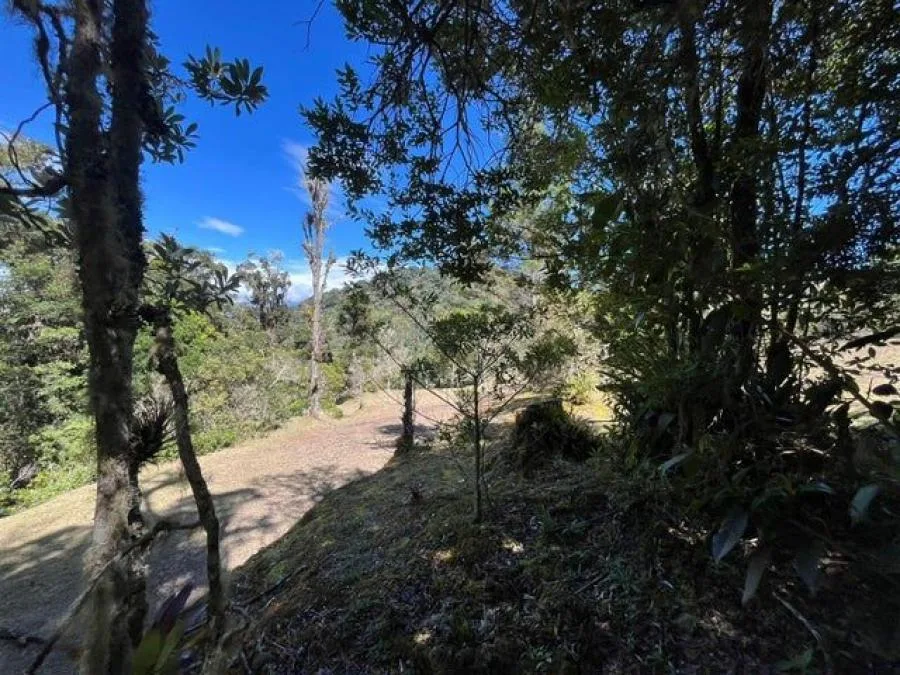 Venta de Lote en Dota Jardín, San José. RAH 26-1166 - Venta en Dota — photo 2