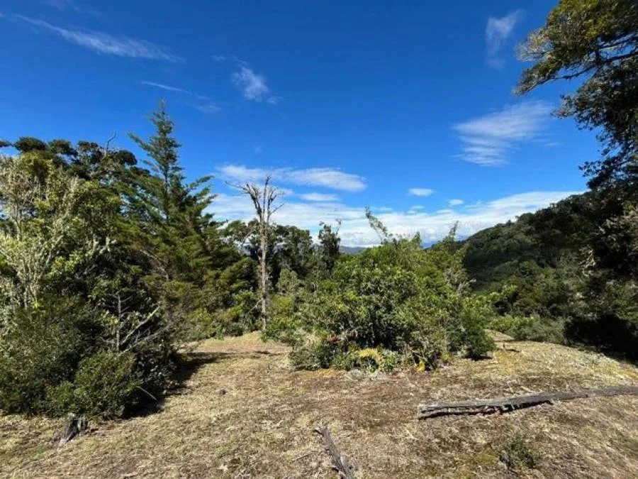 Venta de Lote en Dota Jardín, San José. RAH 26-1166 - Venta en Dota — photo 4