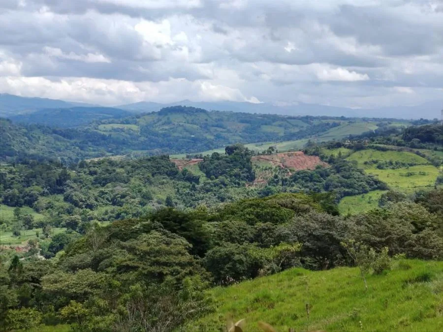 EN VENTA-PARAÍSO DE 205.799M²A LA ORILLA DEL RÍO, COSTA RICA - Venta en Perez Zeledón — photo 3