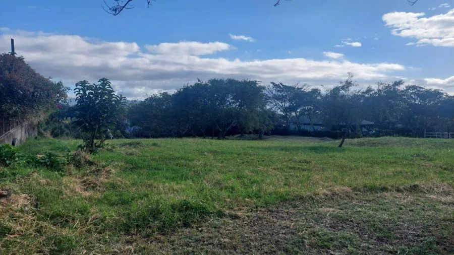 Venta o alquiler de exclusivo apartamento ubicado en Secrt Sabana 26-1716 - Venta en Mercedes