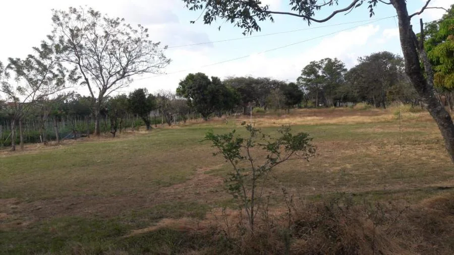 VENTA DE TERRENO EN ALAJUELA, SAN RAFAEL CON USO DE SUELO DE ALTA DENSIDAD - Venta en Alajuela