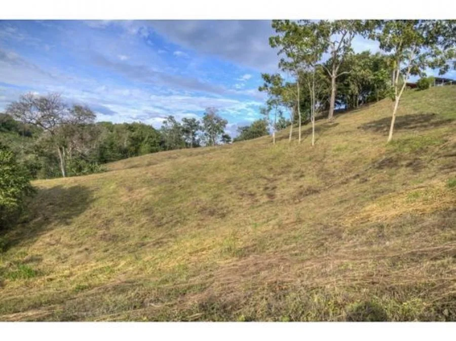 VENTA DE QUINTA, PUNTARENAS, GARABITO, TÁRCOLES - Venta en Tarcoles