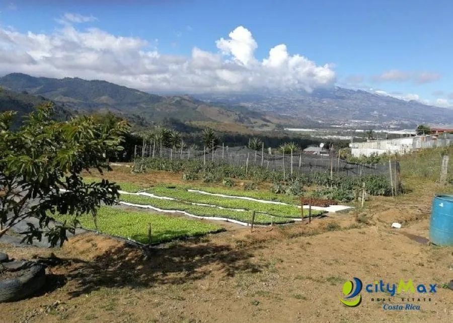 Se Vende Terreno De Uso Mixto 5071 M2 Tobosi De Cartago; Idi: 96934 - Venta en Tobosi