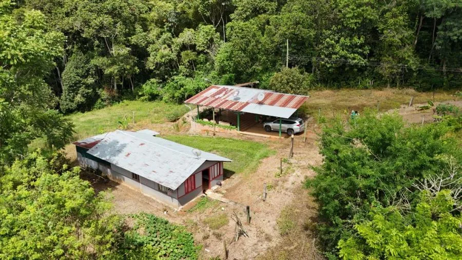 PEQUEÑA FINCA ESCONDIDA DE 1 HECTÁREA EN PÉREZ ZELEDÓN - Venta en Perez Zeledón