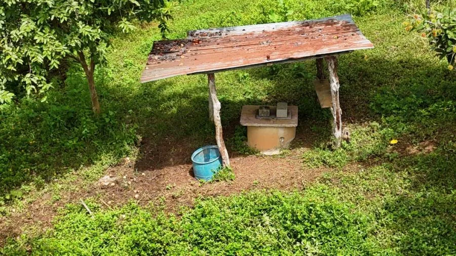 PEQUEÑA FINCA ESCONDIDA DE 1 HECTÁREA EN PÉREZ ZELEDÓN - Venta en Perez Zeledón — photo 3