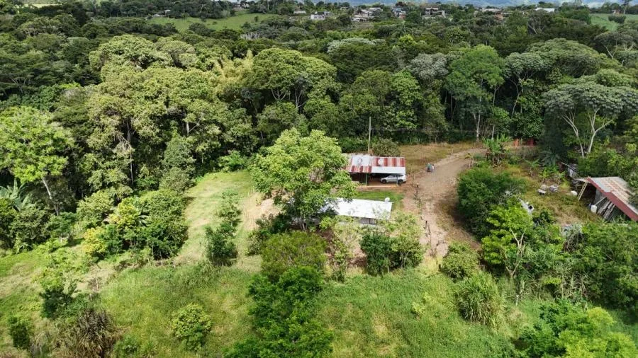 PEQUEÑA FINCA ESCONDIDA DE 1 HECTÁREA EN PÉREZ ZELEDÓN - Venta en Perez Zeledón — photo 5
