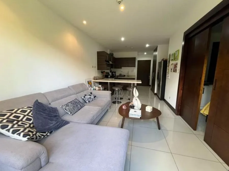 Alquiler de Apartamento en Pozos de Santa Ana. - Alquiler / Renta en Santa Ana