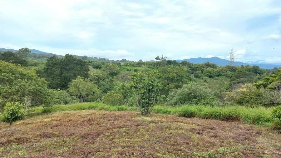 Venta de Lote en Goicoechea, San José. RAH 25-1767 - Venta en Goicoechea — photo 3