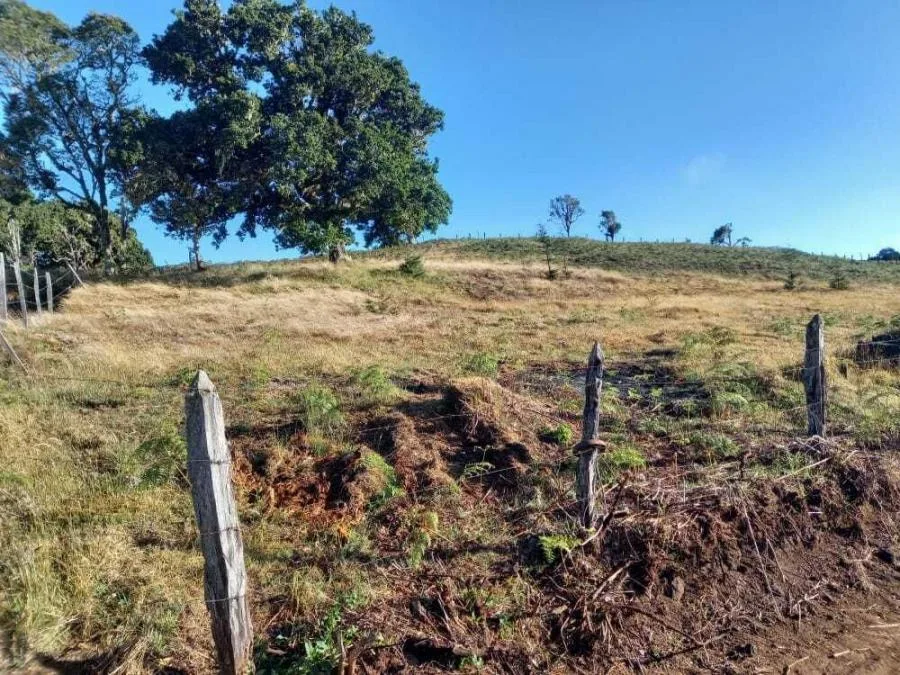 venta de lote en san jose dota copey  - Venta en Dota