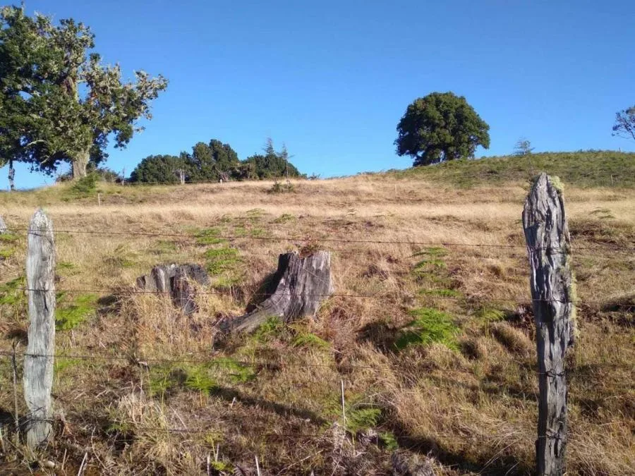 venta de lote en san jose dota copey  - Venta en Dota — photo 4