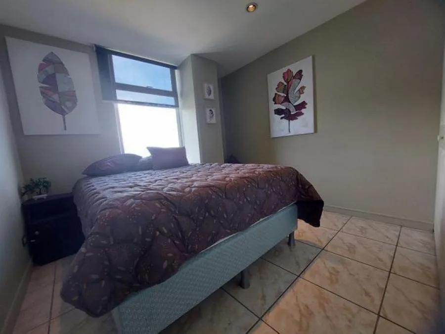 Alquiler de Apartamento en San José. - Alquiler / Renta en San José — photo 5