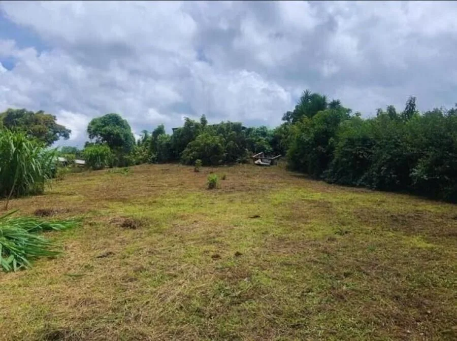 Venta de Lote en Corralillo, Cartago. RAH 25-1753 - Venta en Corralillo