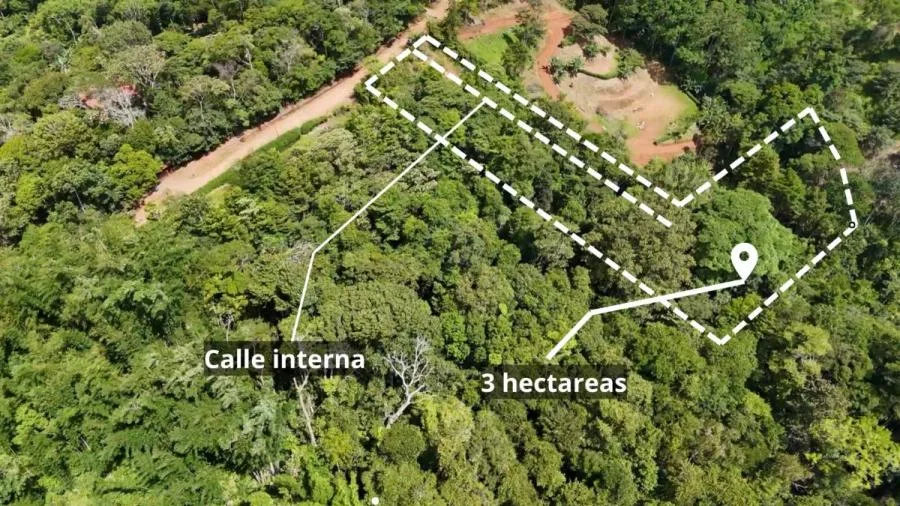 3 HECTÁREAS EN PEDREGOCITO — NATURALEZA Y PRIVACIDAD - Venta en Perez Zeledón