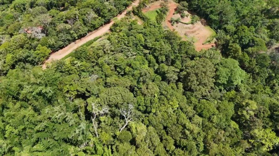 3 HECTÁREAS EN PEDREGOCITO — NATURALEZA Y PRIVACIDAD - Venta en Perez Zeledón — photo 3