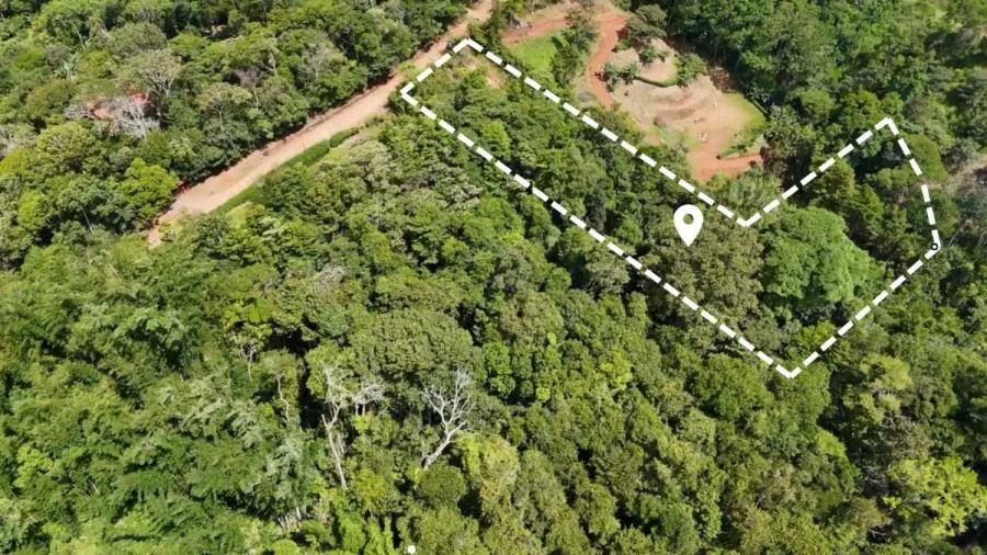 3 HECTÁREAS EN PEDREGOCITO — NATURALEZA Y PRIVACIDAD - Venta en Perez Zeledón — photo 4