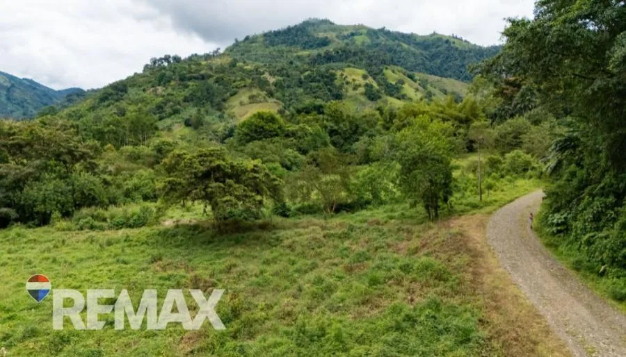 FINCA EN RÍO NUEVO DE SAVEGRE, UN PARAÍSO NATURAL EN EL CORAZÓN DEL PACÍFICO SUR DE COSTA RICA - Venta en Perez Zeledón — photo 3