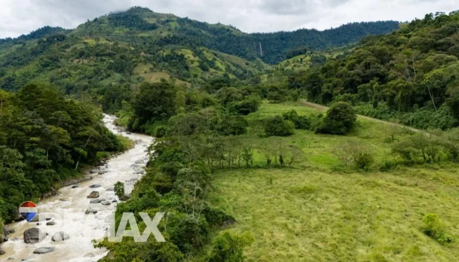 FINCA EN RÍO NUEVO DE SAVEGRE, UN PARAÍSO NATURAL EN EL CORAZÓN DEL PACÍFICO SUR DE COSTA RICA - Venta en Perez Zeledón — photo 4