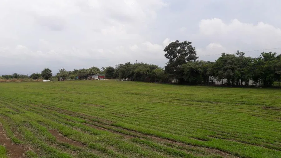 PREDIO EN ALAJUELA EN ALQUILER - Alquiler / Renta en Alajuela