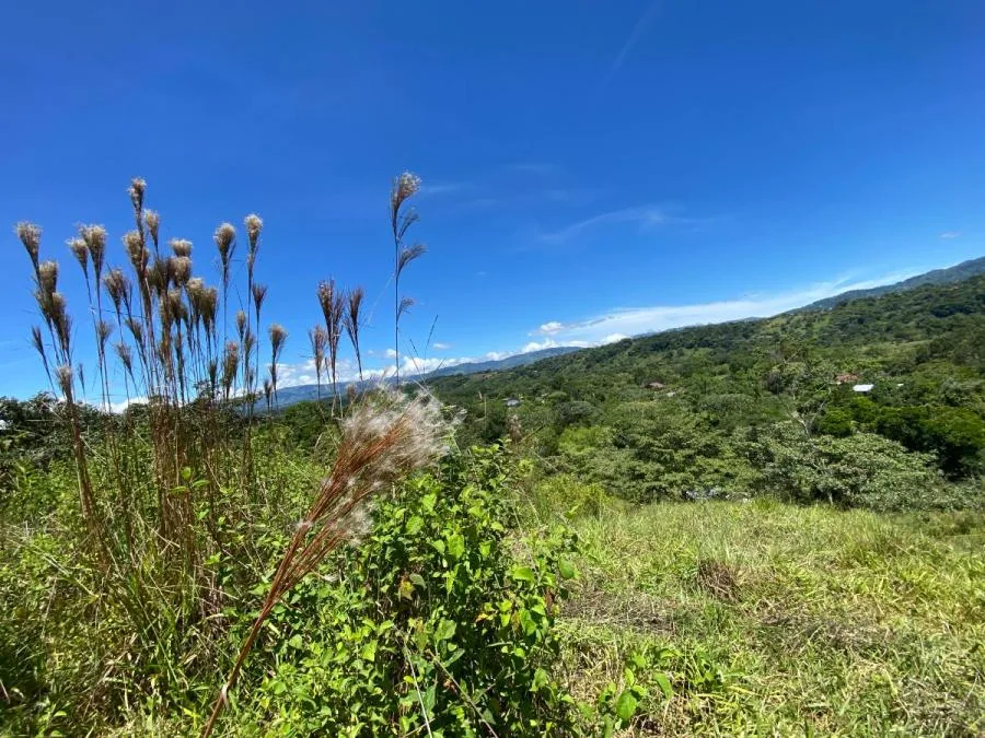 SE VENDE TERRENO EN MIRAFLORES, PÉREZ ZELEDÓN. - Venta en Perez Zeledón