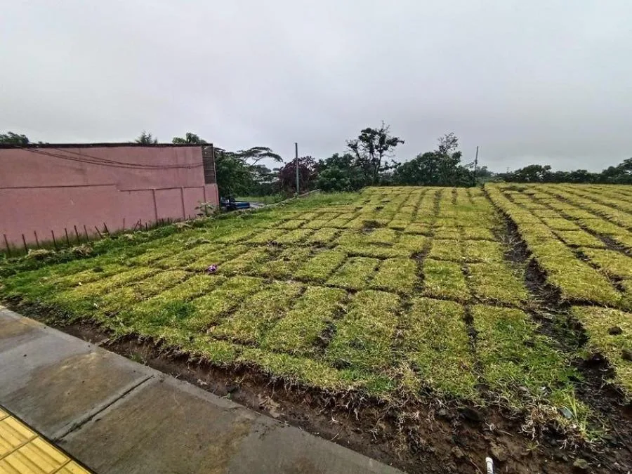 SE VENDE TERRENO EN MIRAFLORES, PÉREZ ZELEDÓN. - Venta en Perez Zeledón — photo 4