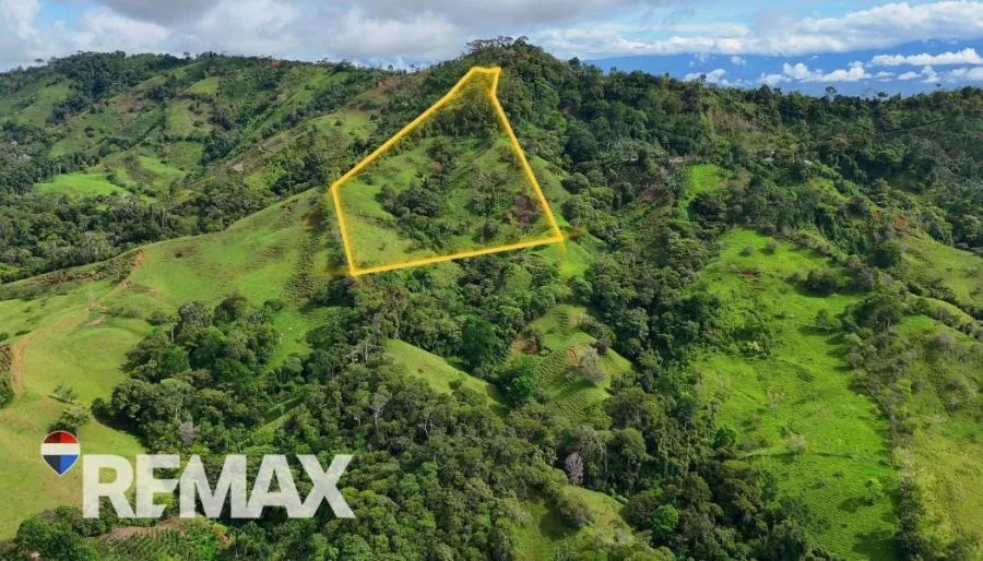 EN VENTA – 9.3 HECTÁREAS EN PLATANARES, PÉREZ ZELEDÓN, COSTA RICA  - Venta en Perez Zeledón