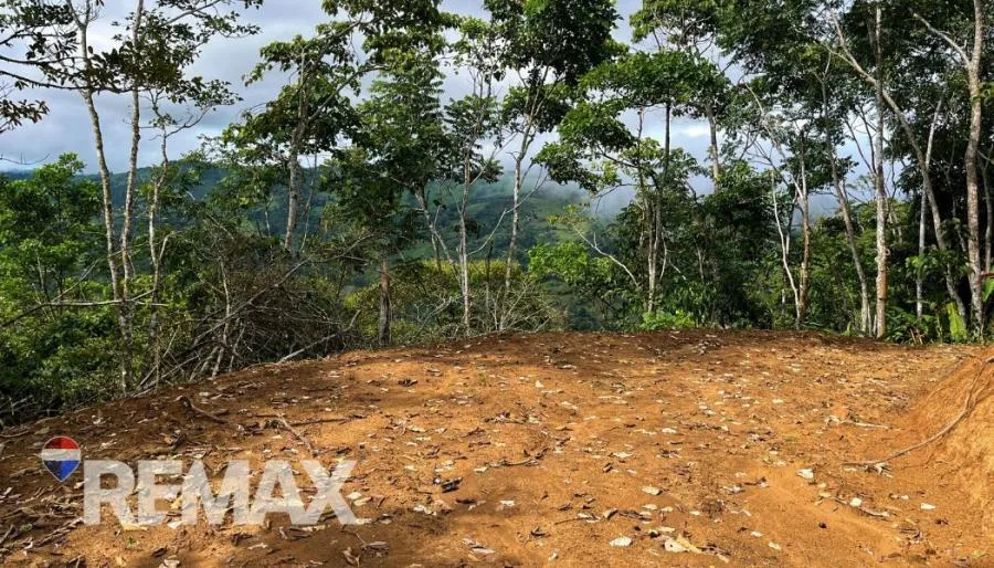 EN VENTA – 9.3 HECTÁREAS EN PLATANARES, PÉREZ ZELEDÓN, COSTA RICA  - Venta en Perez Zeledón — photo 2