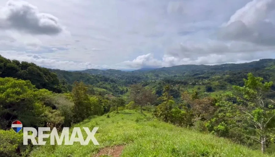EN VENTA – 9.3 HECTÁREAS EN PLATANARES, PÉREZ ZELEDÓN, COSTA RICA  - Venta en Perez Zeledón — photo 3