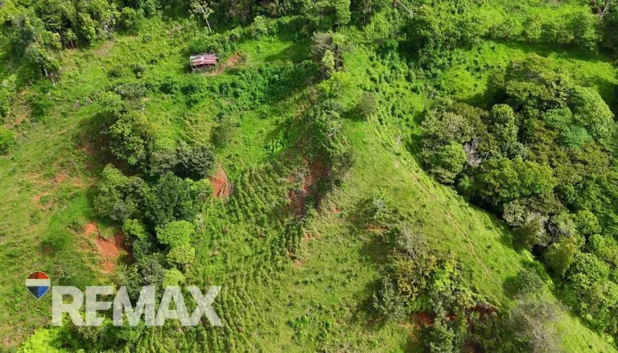 EN VENTA – 9.3 HECTÁREAS EN PLATANARES, PÉREZ ZELEDÓN, COSTA RICA  - Venta en Perez Zeledón — photo 4