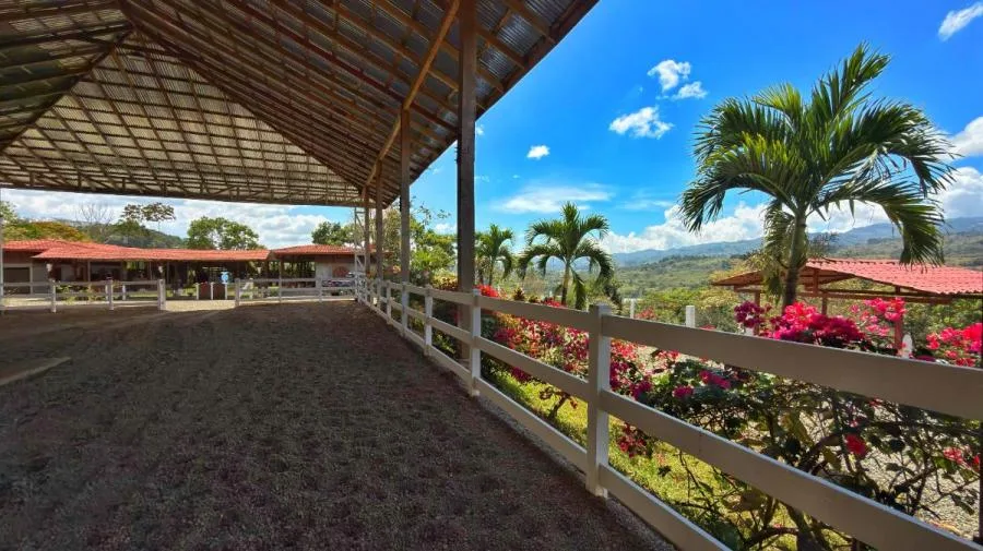 RANCHO Y FINCA ECUESTRE EN VENTA EN PACUAR, PÉREZ ZELEDÓN – 16 HECTÁREAS - Venta en Perez Zeledón — photo 4