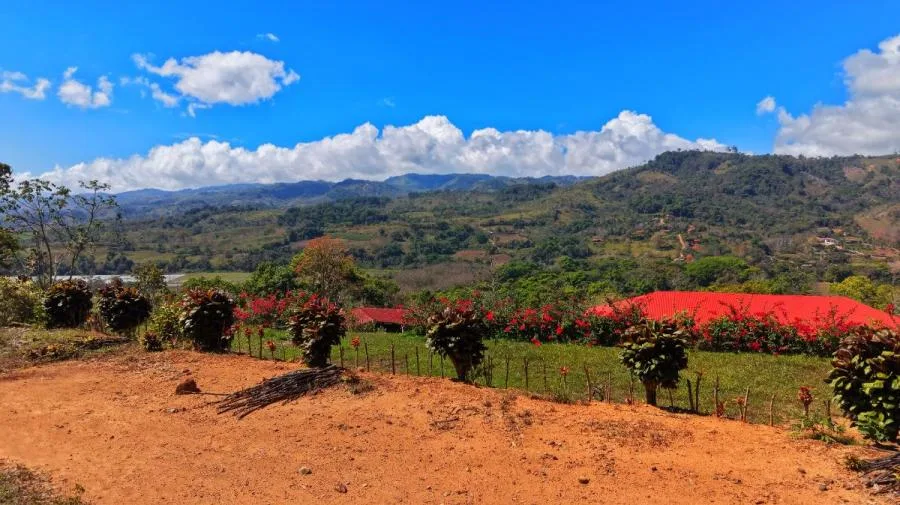 RANCHO Y FINCA ECUESTRE EN VENTA EN PACUAR, PÉREZ ZELEDÓN – 16 HECTÁREAS - Venta en Perez Zeledón — photo 5