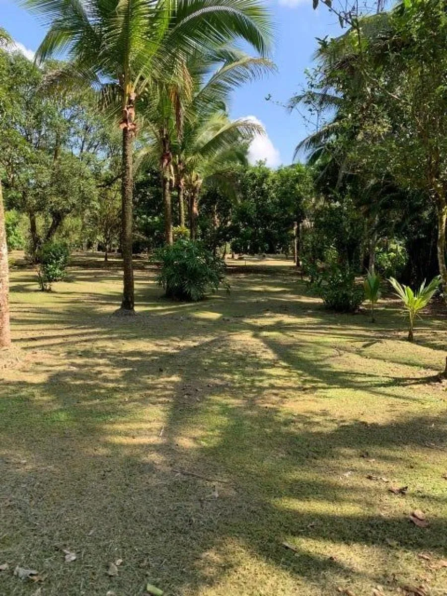 MLS-24-1822 LS VENTA LOTE CON CASA SARAPIQUI HEREDIA - Venta en SARAPIQUI HEREDIA