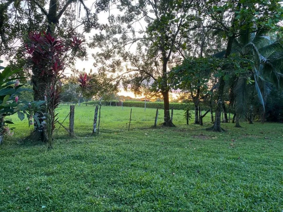 VENTA DE FINCA CON CASA, HEREDIA, SARAPIQUÍ, LA VIRGEN - 9498020 - Venta en Sarapiquí