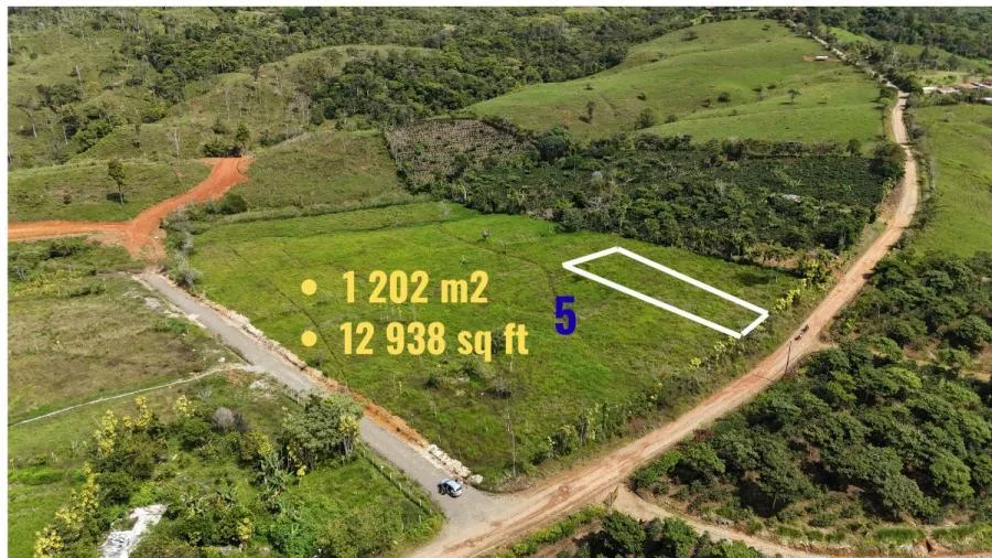LOTE EXCLUSIVO EN VENTA – IDEAL PARA VIVIENDA O INVERSIÓN - Venta en Perez Zeledón