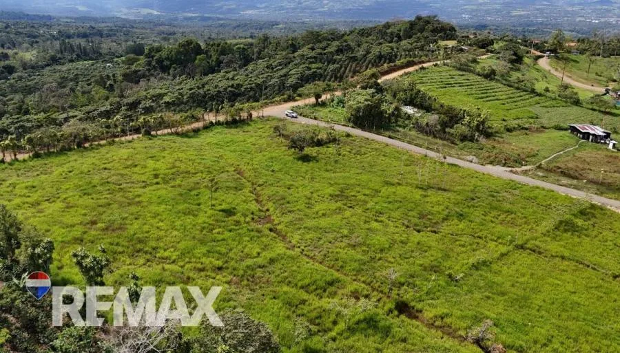 LOTE EXCLUSIVO EN VENTA – IDEAL PARA VIVIENDA O INVERSIÓN - Venta en Perez Zeledón — photo 4