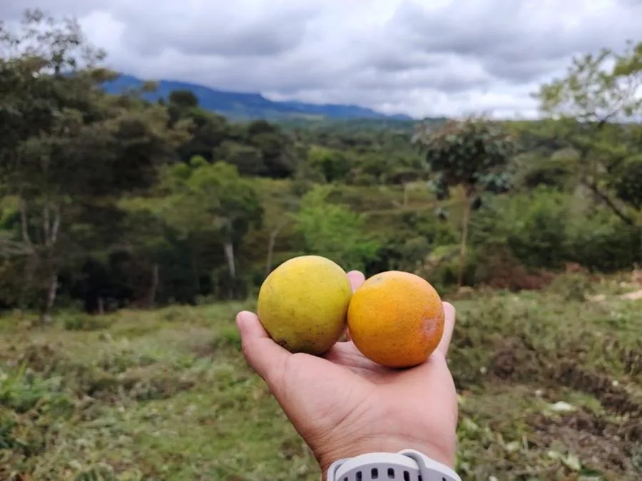 LOTE DE 1.752M²EN SANTA ELENA ZONA SEGURA Y CON PLUSVALÍA. - Venta en Perez Zeledón — photo 3