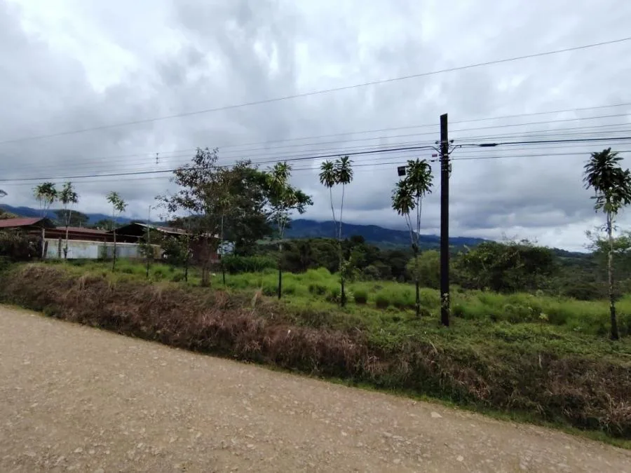 LOTE DE 1.752M²EN SANTA ELENA ZONA SEGURA Y CON PLUSVALÍA. - Venta en Perez Zeledón — photo 4
