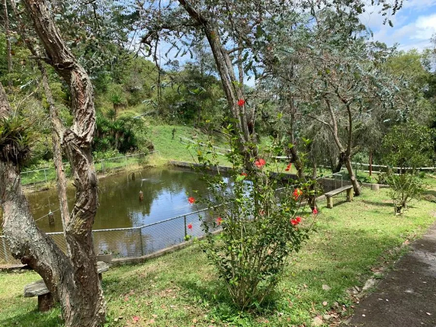 Hermosa finca de 22 hectáreas en venta. Copalchí, Quebradilla. Cartago MLS 24-1328  - Venta en Quebradilla