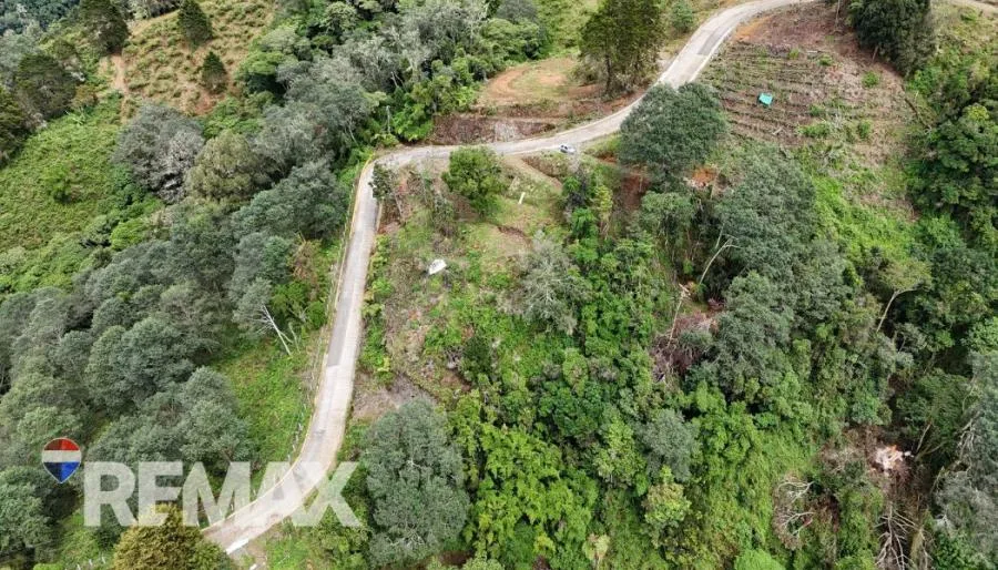 EXCELENTE OPORTUNIDAD HERMOSO TERRENO EN VENTA EN DIVISIÓN, COSTA RICA - Venta en Perez Zeledón — photo 3