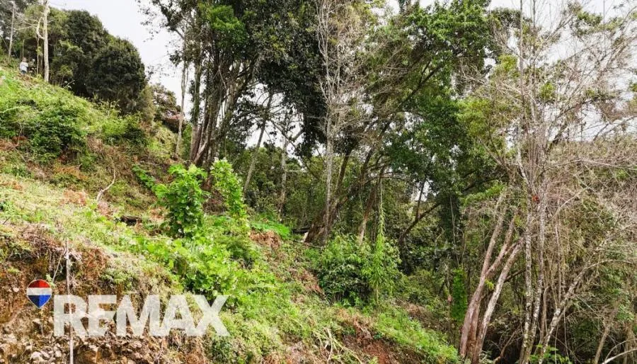 EXCELENTE OPORTUNIDAD HERMOSO TERRENO EN VENTA EN DIVISIÓN, COSTA RICA - Venta en Perez Zeledón — photo 5