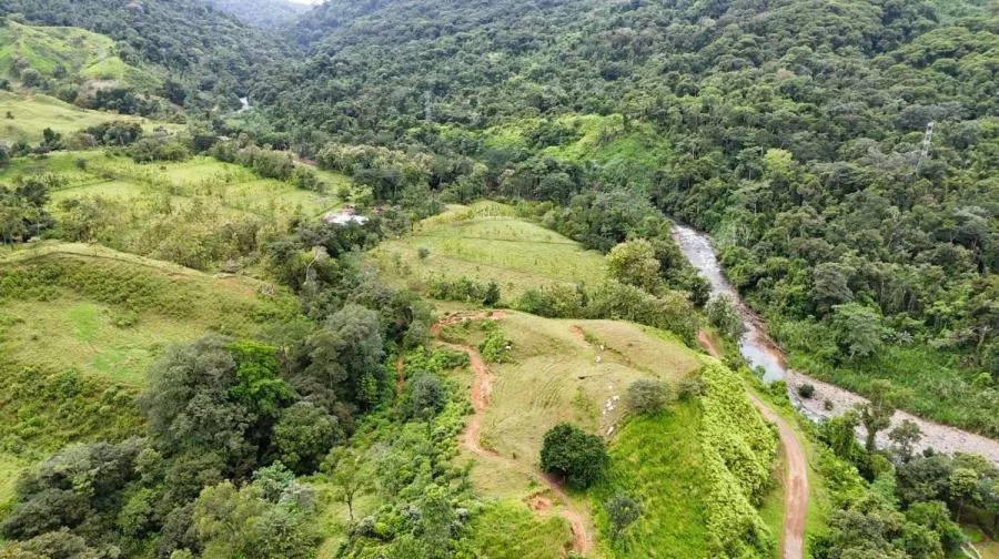 HERMOSA FINCA EN VENTA EN EL CORAZÓN DE SAN MIGUEL DE QUEPOS. - Venta en Quepos
