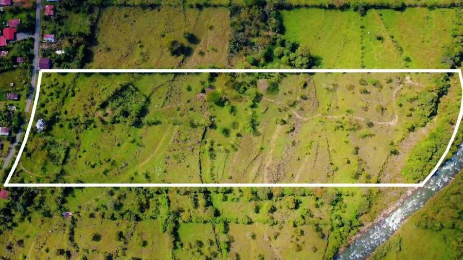 PROPIEDAD PLANA DE 9.21 HECTÁREAS EN VENTA – MIRAFLORES, PÉREZ ZELEDÓN - Venta en Perez Zeledón
