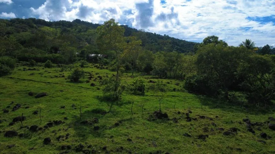 PROPIEDAD PLANA DE 9.21 HECTÁREAS EN VENTA – MIRAFLORES, PÉREZ ZELEDÓN - Venta en Perez Zeledón — photo 2
