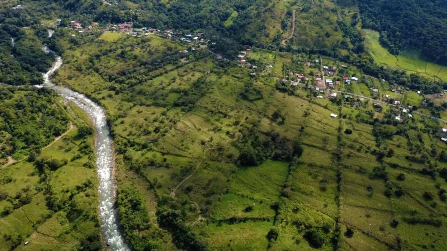 PROPIEDAD PLANA DE 9.21 HECTÁREAS EN VENTA – MIRAFLORES, PÉREZ ZELEDÓN - Venta en Perez Zeledón — photo 4