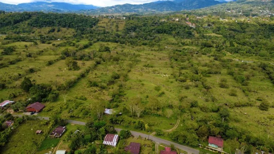 PROPIEDAD PLANA DE 9.21 HECTÁREAS EN VENTA – MIRAFLORES, PÉREZ ZELEDÓN - Venta en Perez Zeledón — photo 5