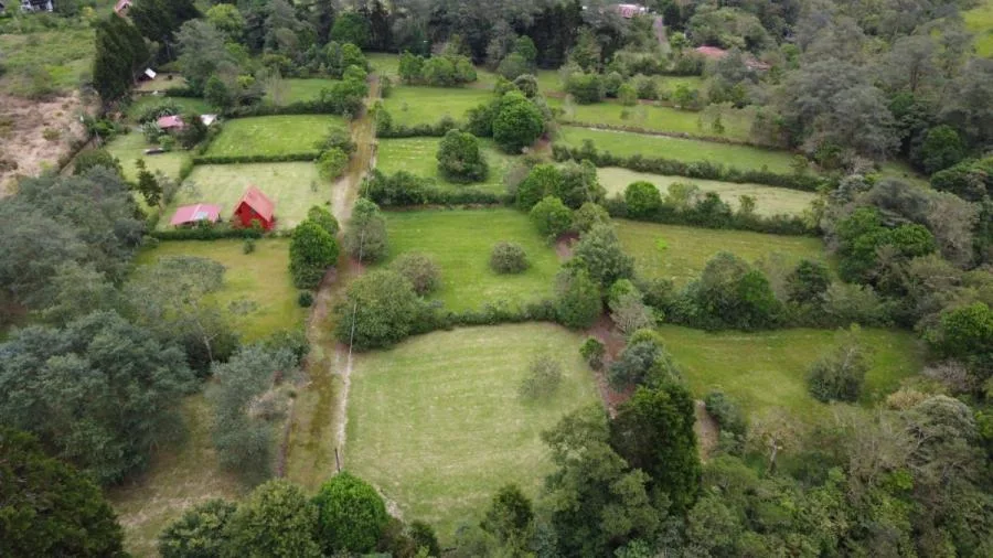 Lotes en venta en Bajos del Toro Amarillo - Sarchi - Venta en Toro Amarillo