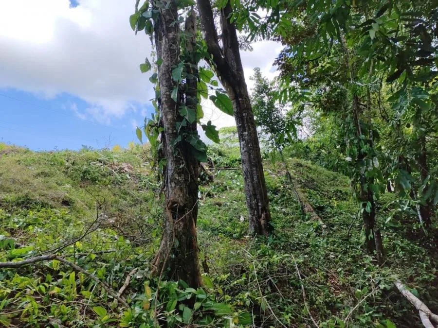 Terreno de 4.774 m² con vistas panorámicas en Tres Ríos de Coronado, Osa, Puntarenas - Venta en Osa