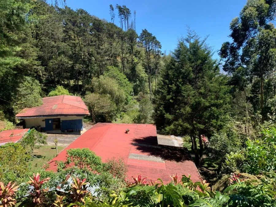 Finca en alquiler en Copalchi, Cartago, MLS 25-1822 - Alquiler / Renta en Quebradilla