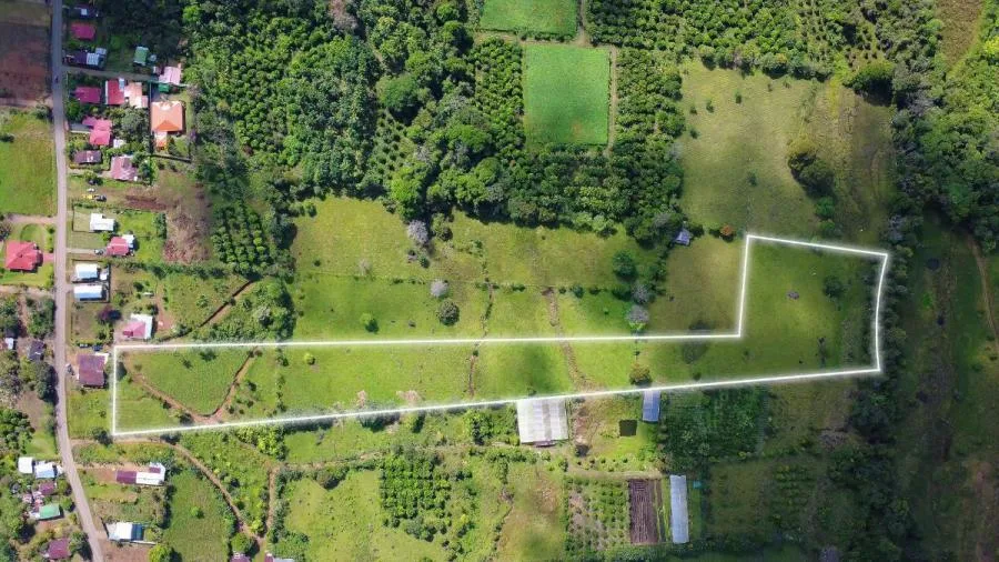 FINCA EN VENTA EN PARAÍSO DE CAJÓN – PLANA, PRODUCTIVA Y LISTA PARA DESARROLLAR - Venta en Perez Zeledón