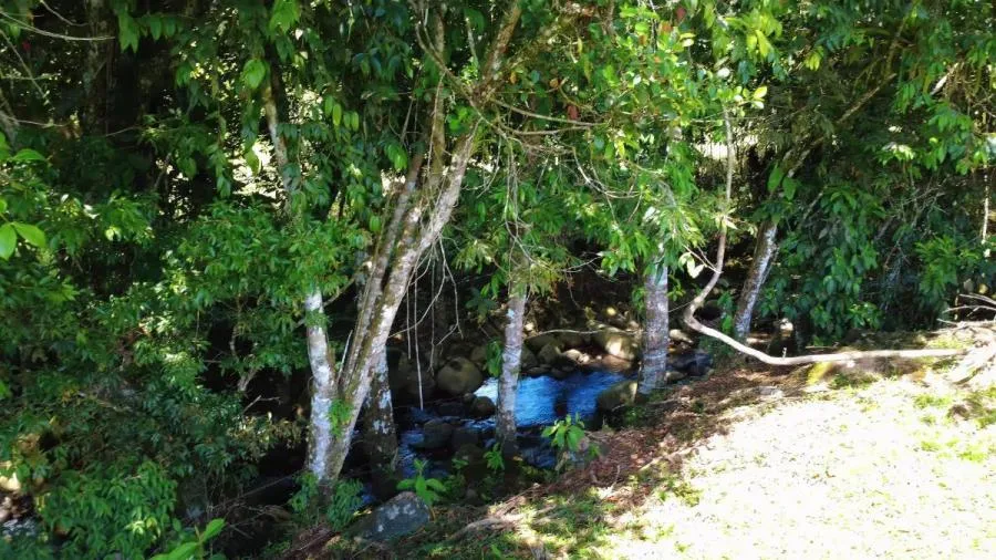 FINCA EN VENTA EN PARAÍSO DE CAJÓN – PLANA, PRODUCTIVA Y LISTA PARA DESARROLLAR - Venta en Perez Zeledón — photo 2