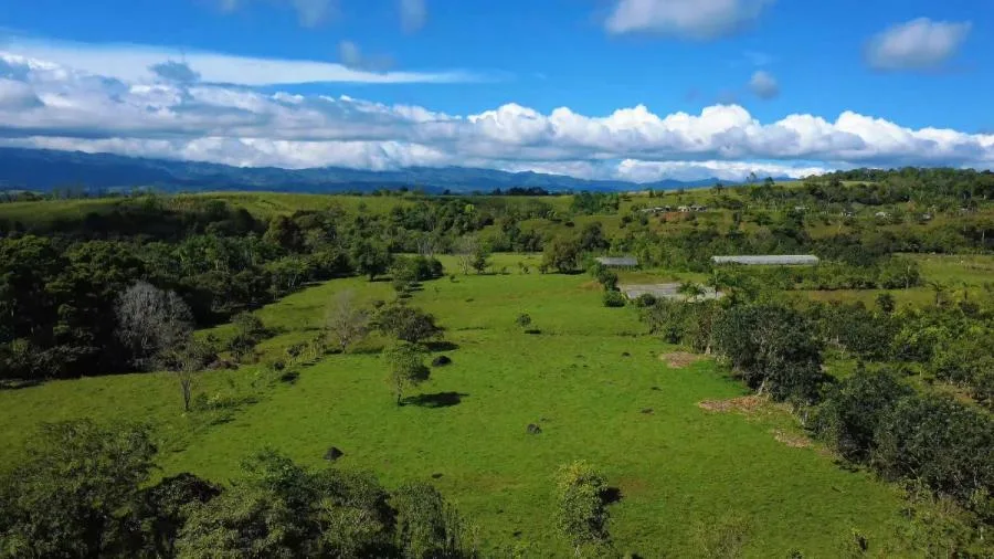 FINCA EN VENTA EN PARAÍSO DE CAJÓN – PLANA, PRODUCTIVA Y LISTA PARA DESARROLLAR - Venta en Perez Zeledón — photo 3